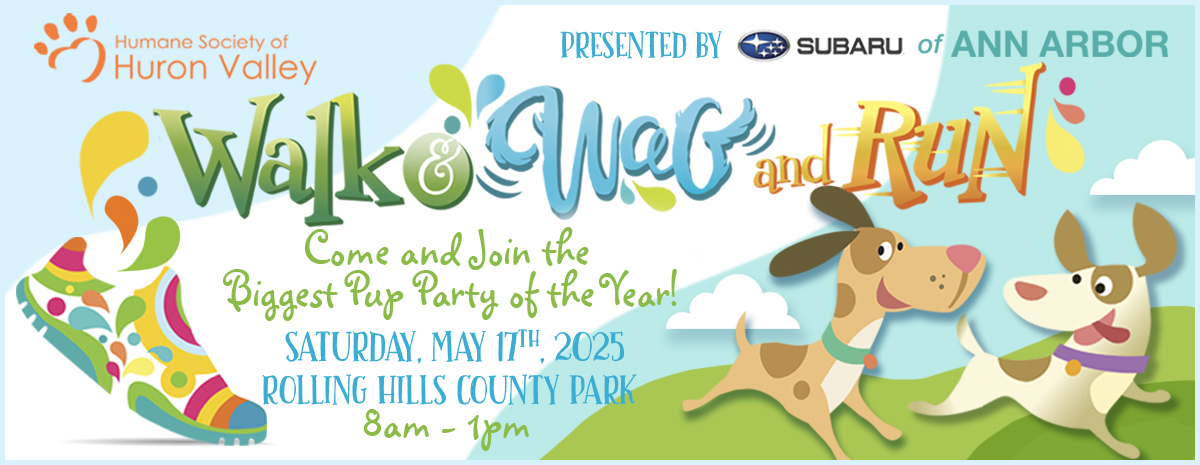 Walk & Wag and Run 2025