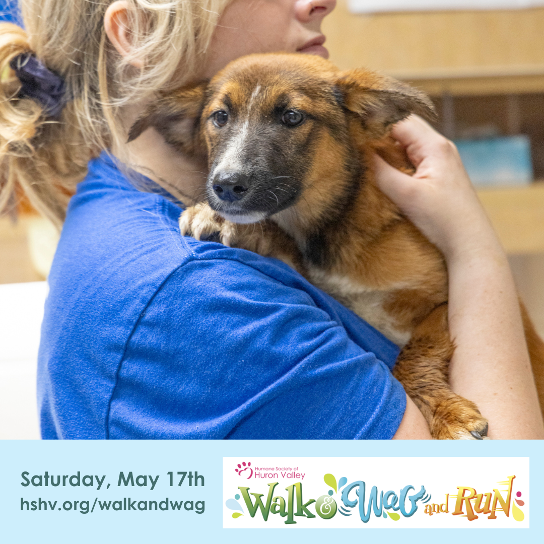 Sample Social Posts.png